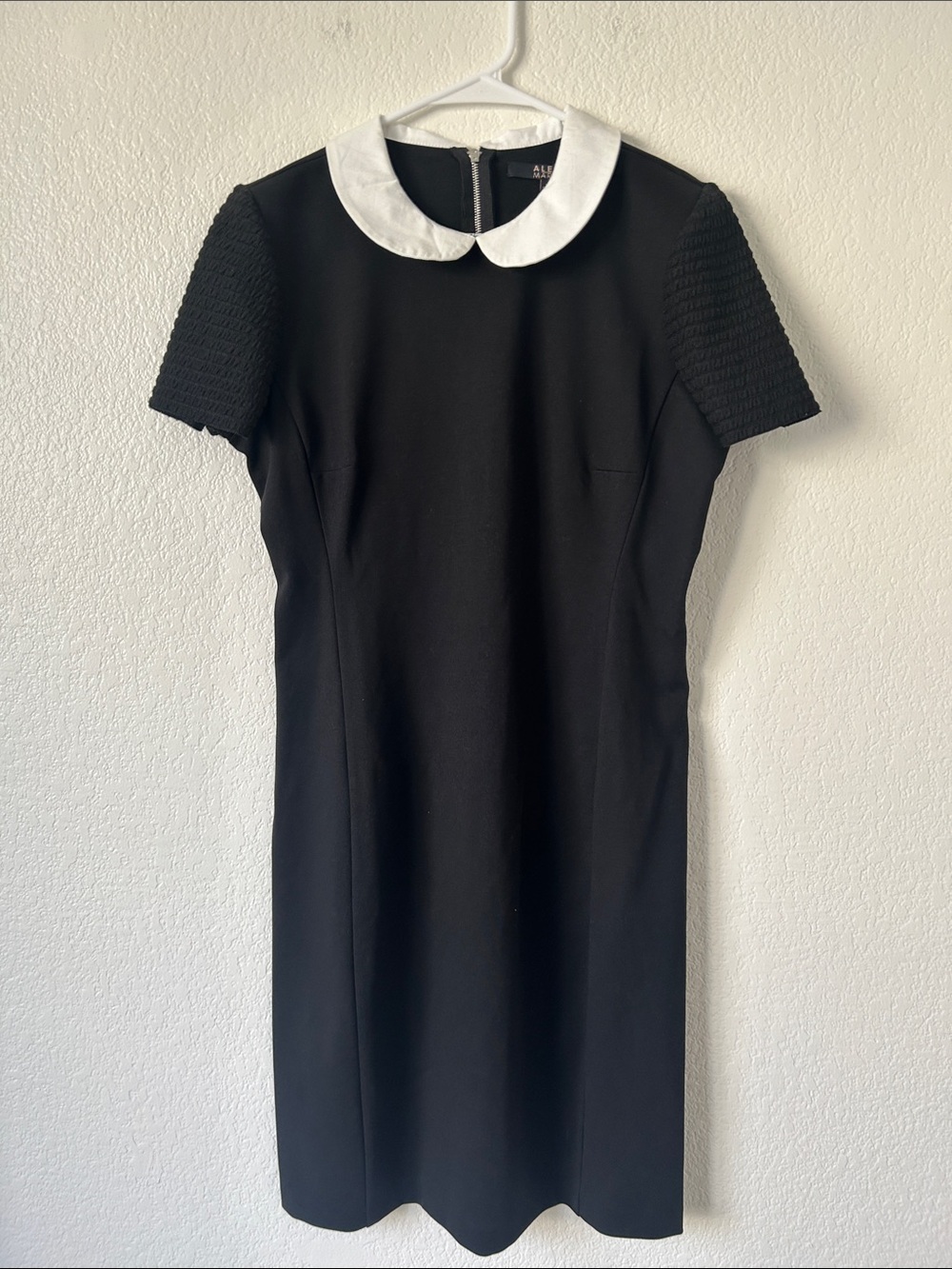 Alex Marie Black Midi Dress with White Peter Pan Collar